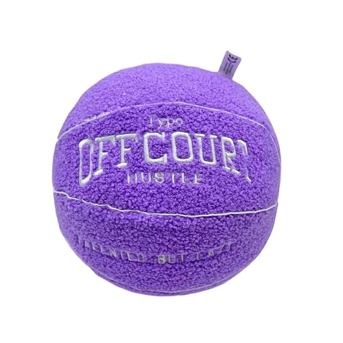 Offcourt Basketball - 25 cm