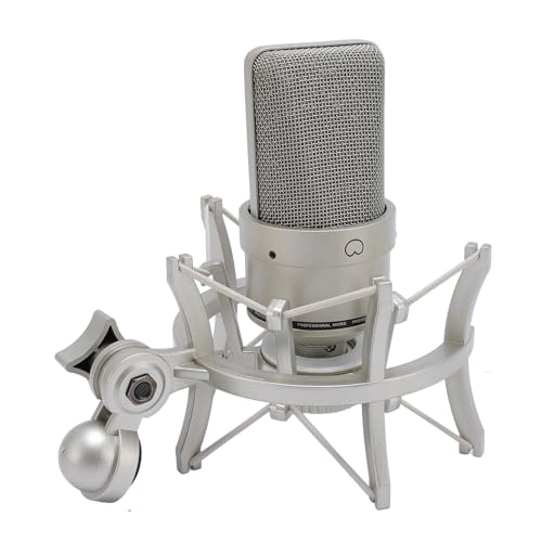Oreiletxu5867vkse-11 XLR Microphone