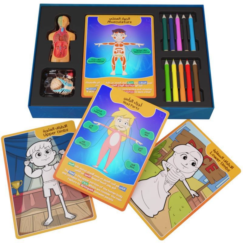 Interactive Body Parts - 6 Years and Above