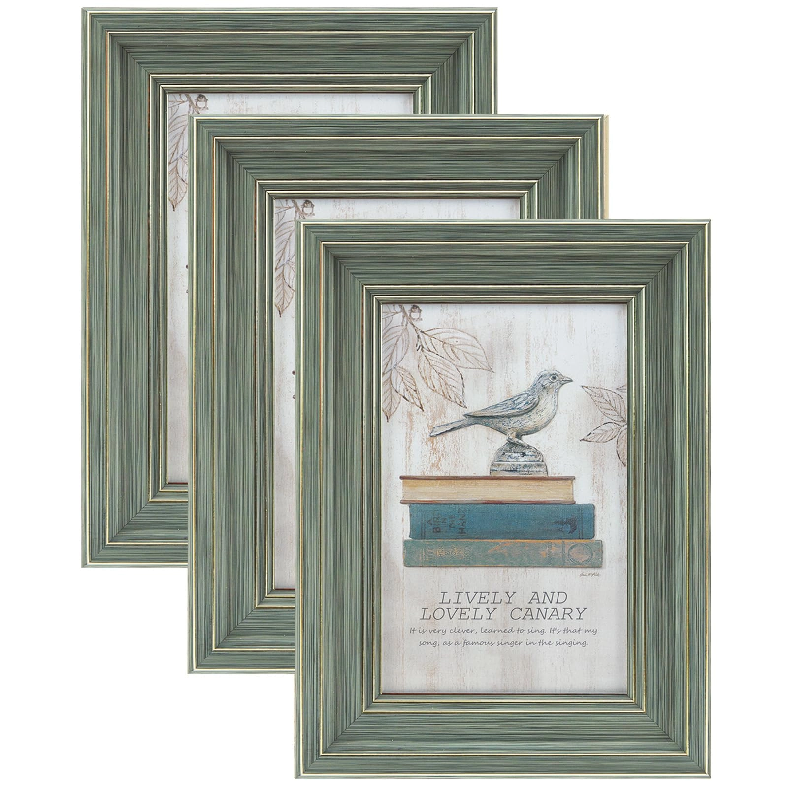 xuanluo Picture Frame - 4x6 Pack