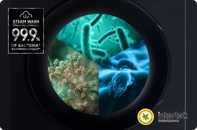 Go cleaner with the power of steam