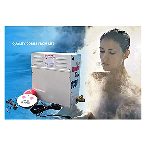Steam shower generator