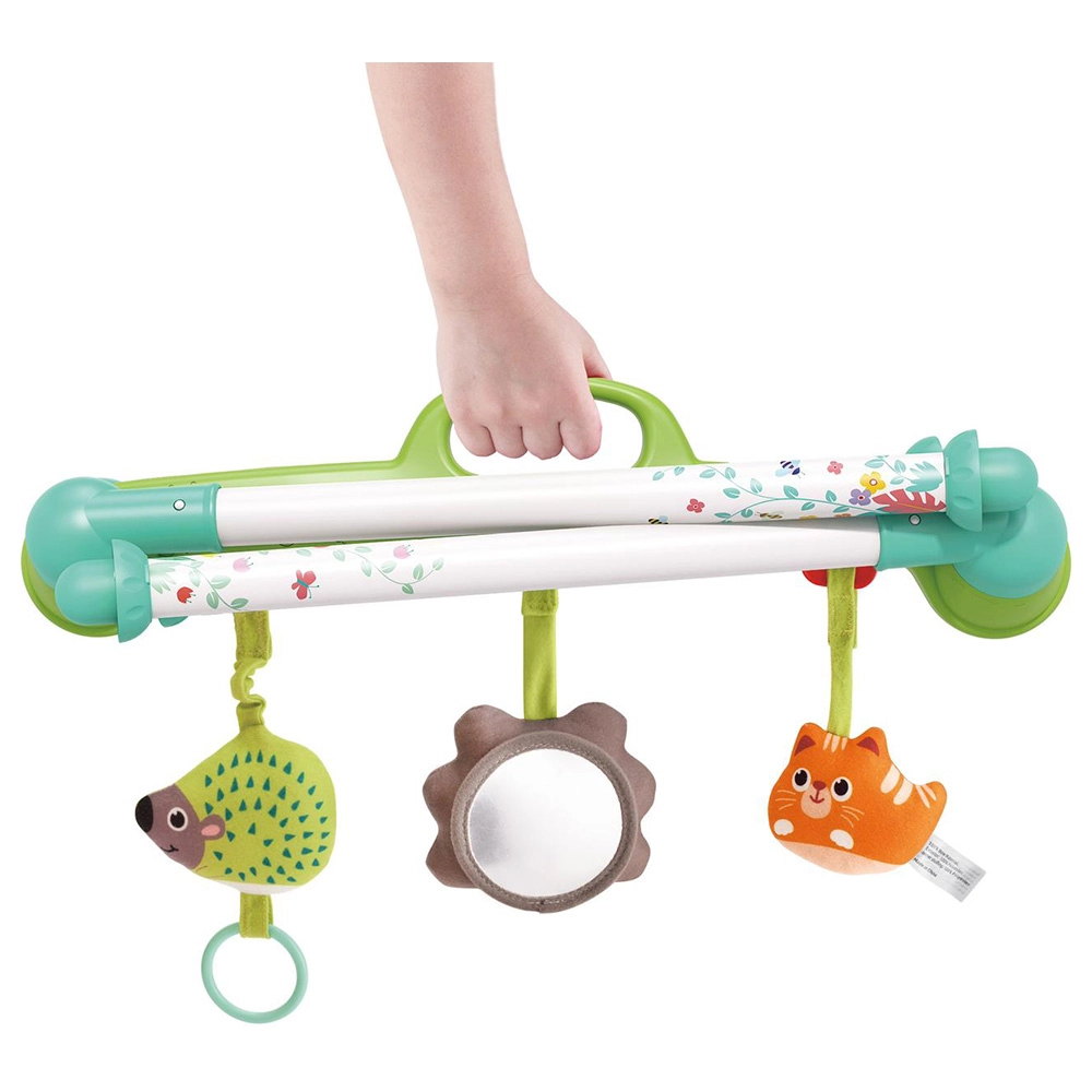 Baby Activity Play Gym - 0 month