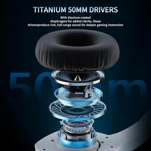 BW01-BT Wireless Headset