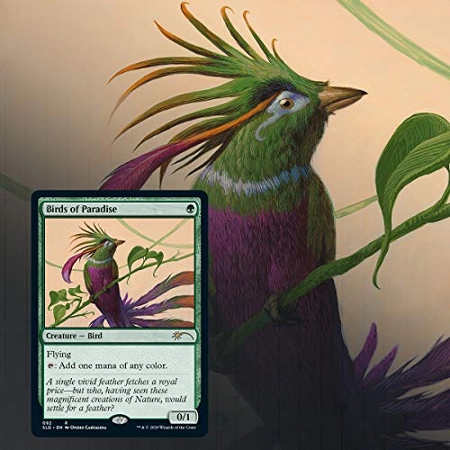 Secret Lair: MTG Summer Superdrop Ornithological Studies