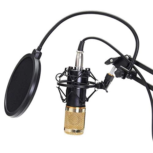 BM800 - Condenser Microphone Kit