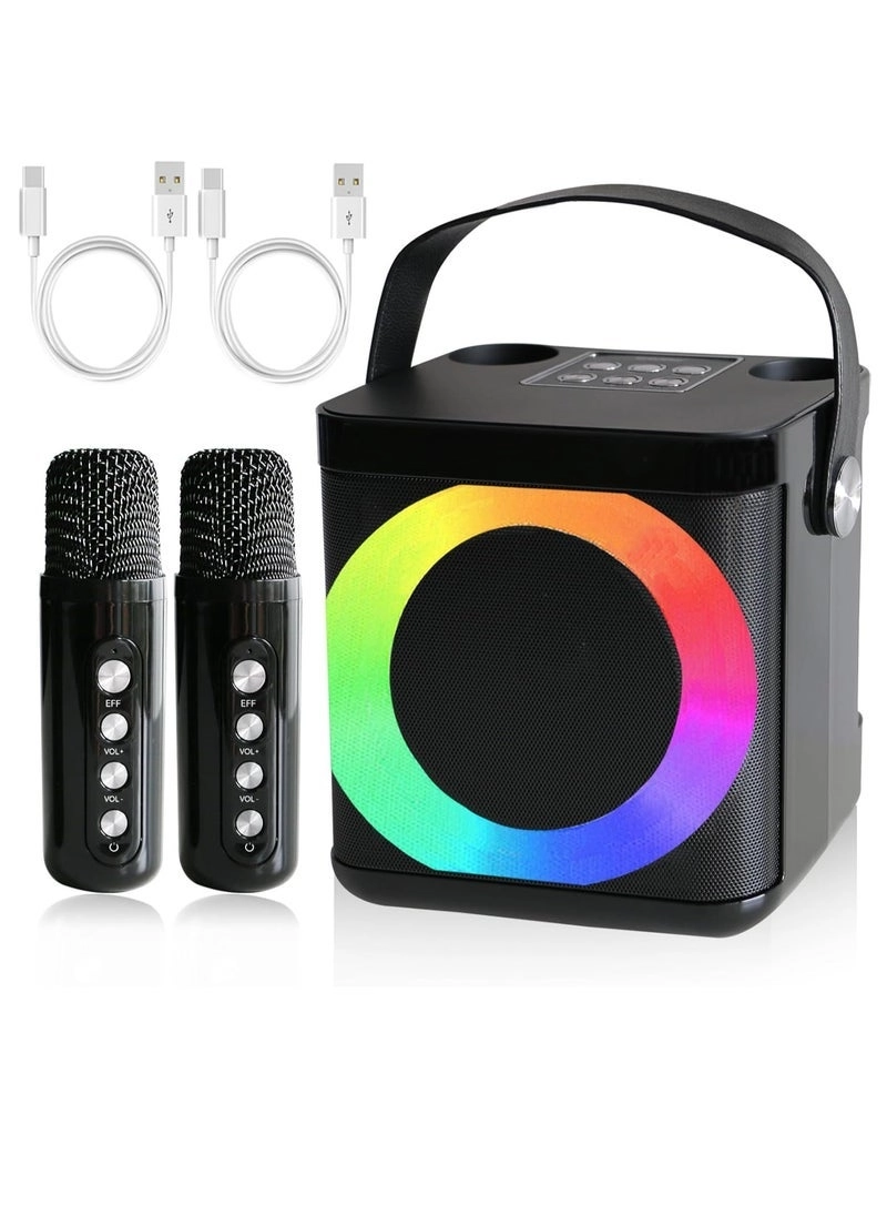 MMF-307 - 2 x Handheld Wireless Microphones 10W