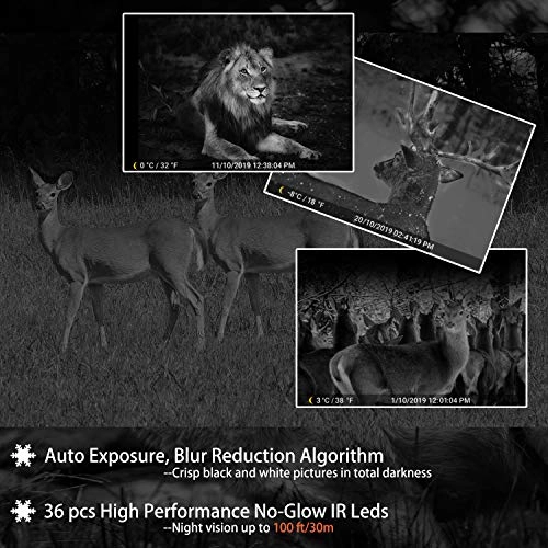 Game & Deer Trail Camera - 48 megapixel