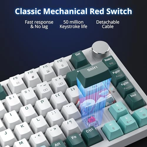 75% Mechanical Keyboard - EN Wired/Wireless