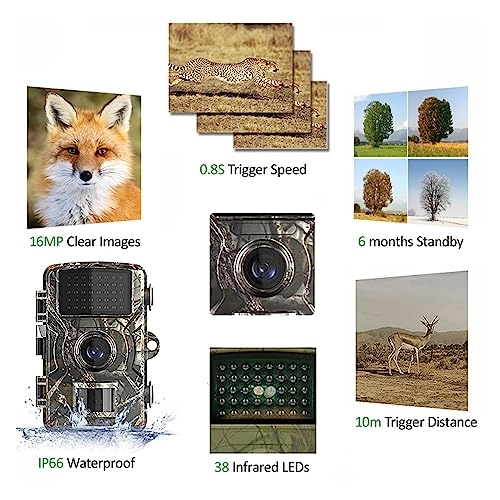 Wildlife HD Hunting Rear Camera - 16MP