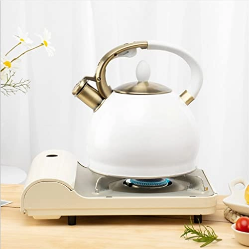 Stainless Steel Kettle - 2.5L