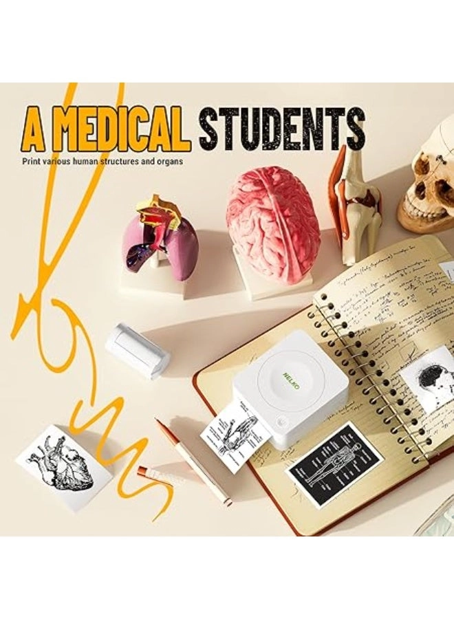 PM230 - Bluetooth 3 Rolls Paper WHITE