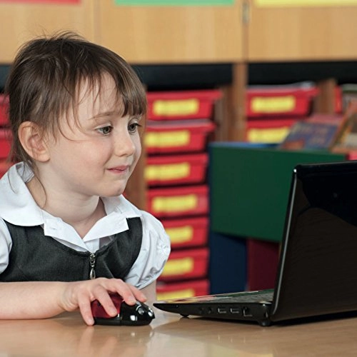 Ladybird Mouse - USB