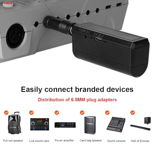 Weless Microphone System - 2 Microphones 2.4G