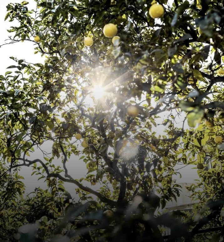 Eau Sauvage Eau de Toilette 200ml