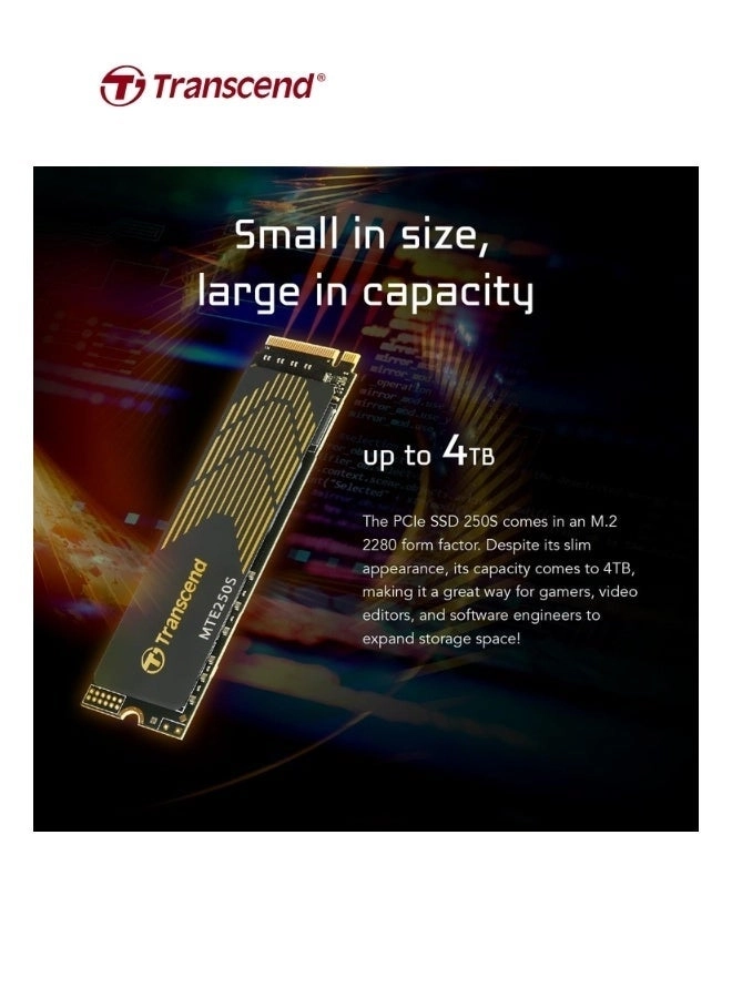 PCIe SSD 250S - 2TB M.2 2280