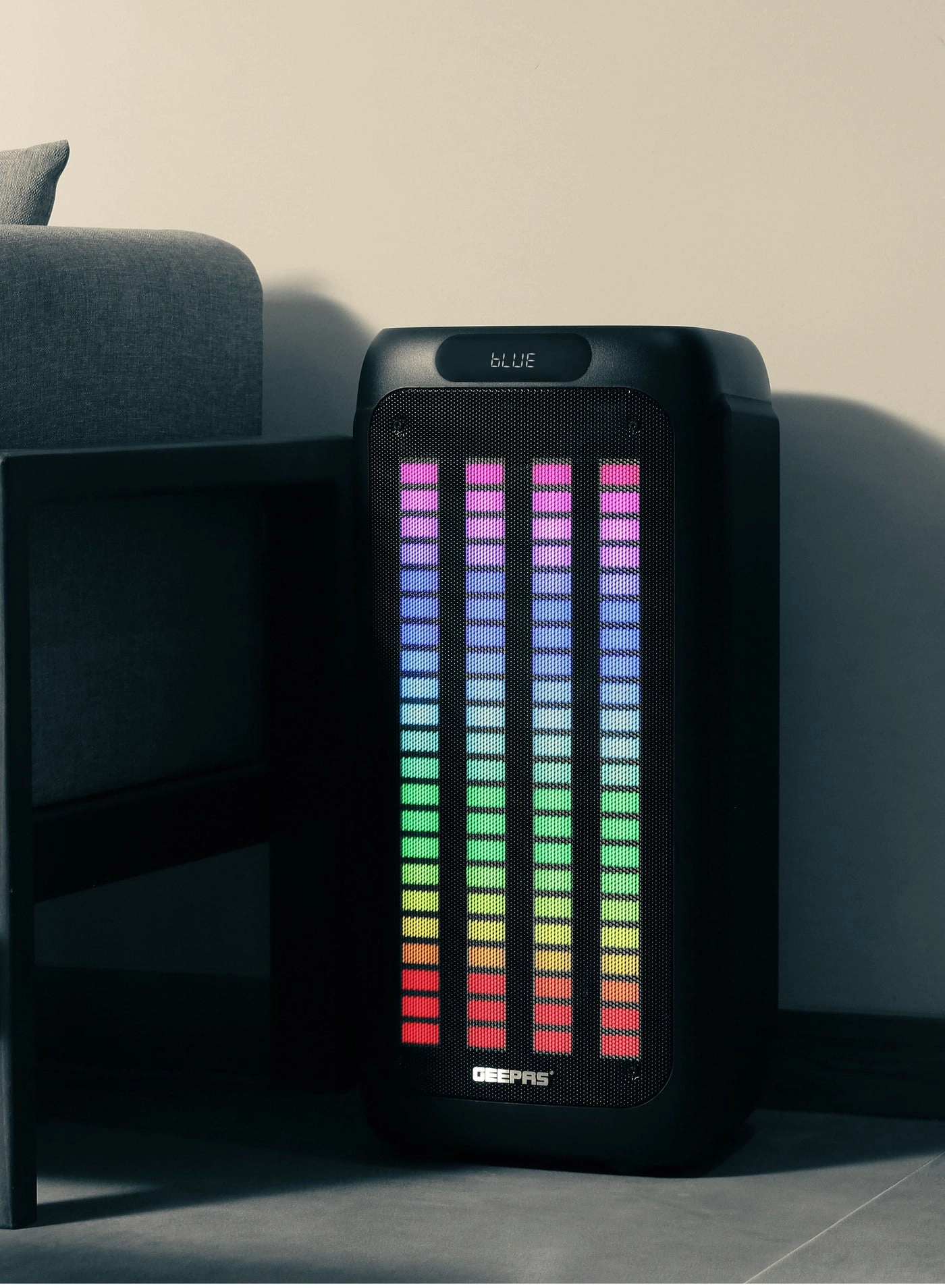 Rechargeable Professional Speaker