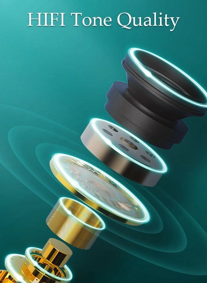 DU3713 Wireless Earbud