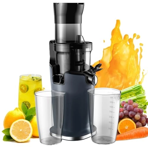 Masticating Juicer - 200W