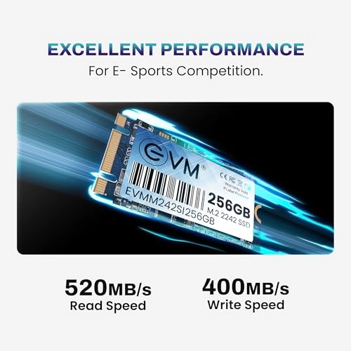 M.2 2242 SSD - 256GB