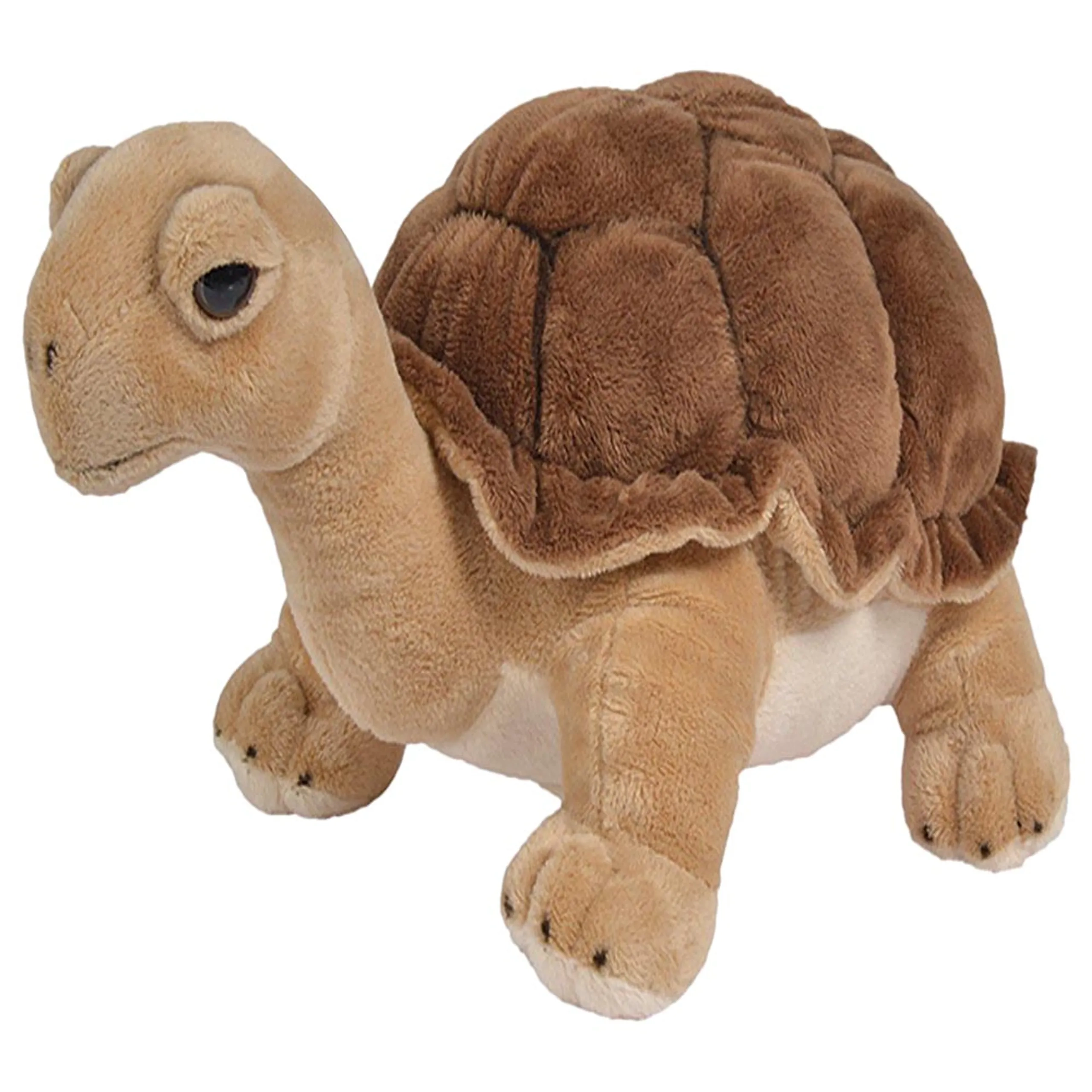 Land Turtle Plush - 34cm
