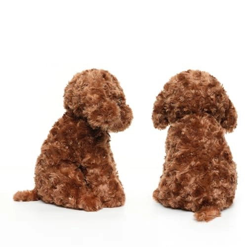Labradoodle - 32 cm