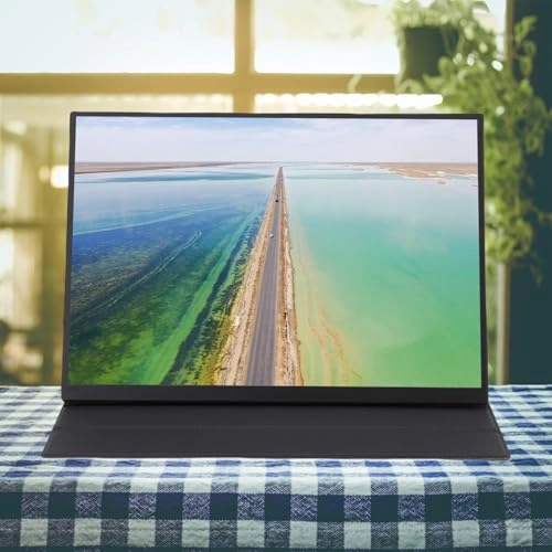 Portable Display - 1080P 12.3 inch