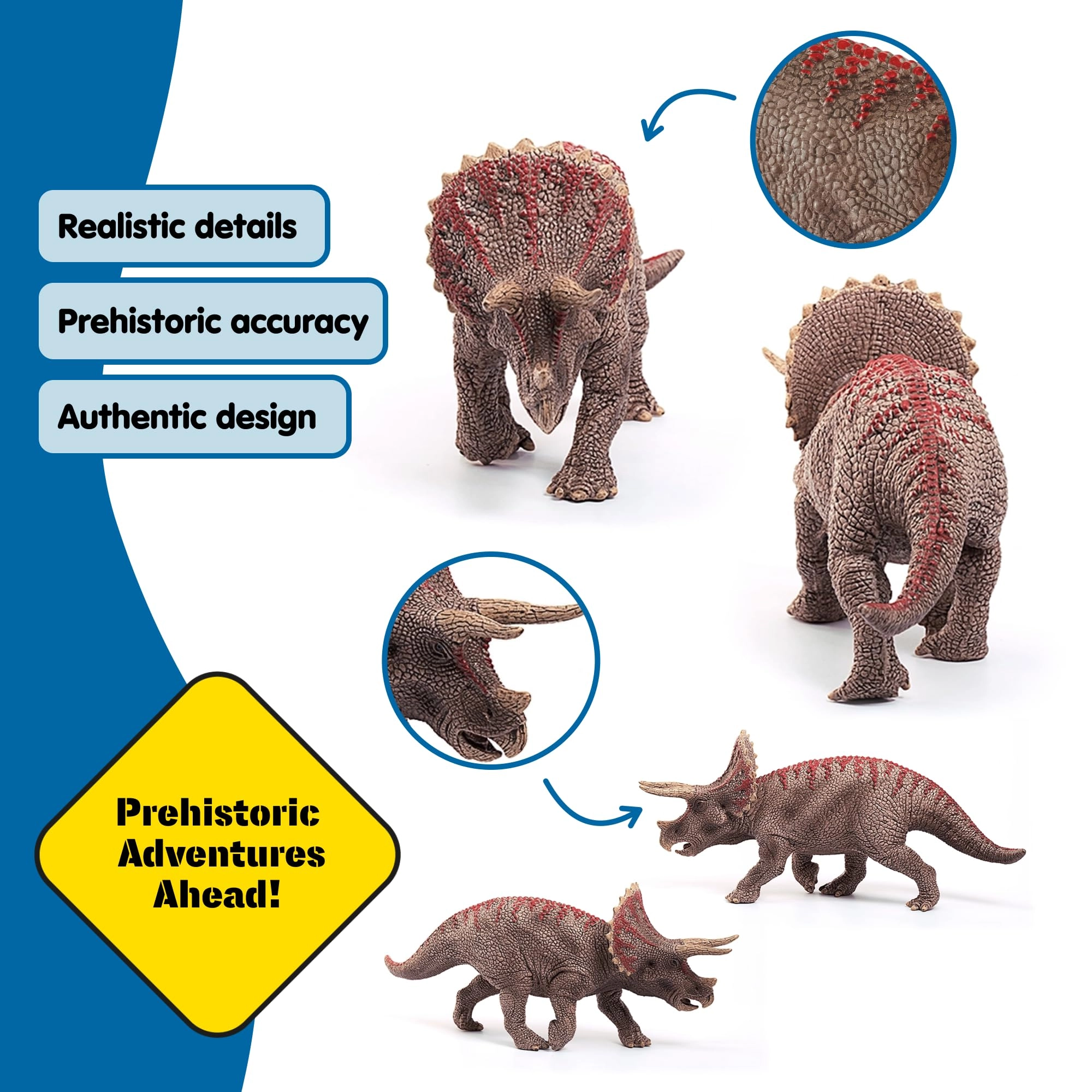 Triceratops - 4 years Dinosaurs 1 pc 1 pc