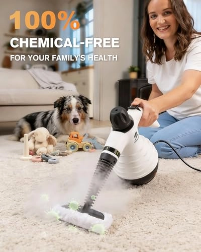 multifunctional handheld steam cleaner - 350 Milliliters