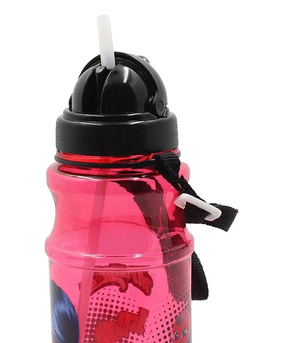 Tales Of Ladybug & Cat Noir Water Bottle - Leak-proof