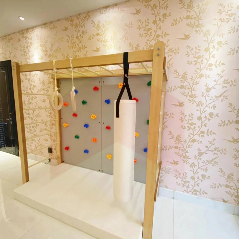 Monkey Bar + Climbing Wall Panel + Rope Ladder + Gymnastic Rings + Safety Mattress + Punching Bag