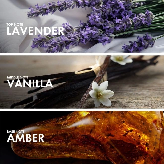 AMBERY SANDALWOOD Eau de Parfum 50ml