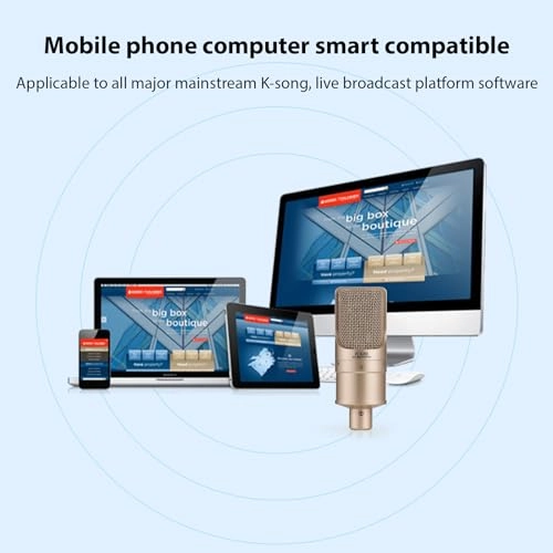 Condens Microphone XLR Microphone