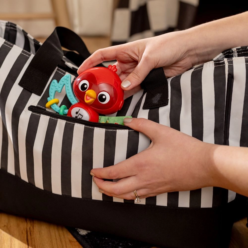 Roxy's Bright Flight Musical Toy - 3 months