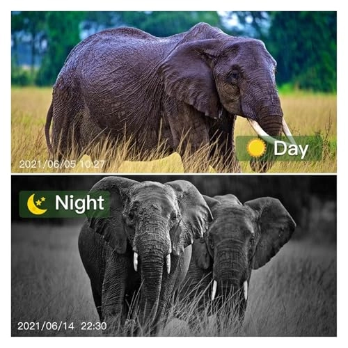 Hunting Camera - 12MP