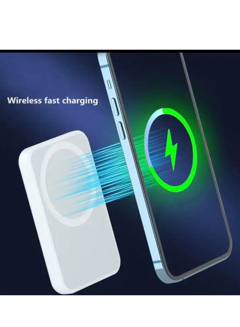 VEGER - 5000 Watt-hour 20W