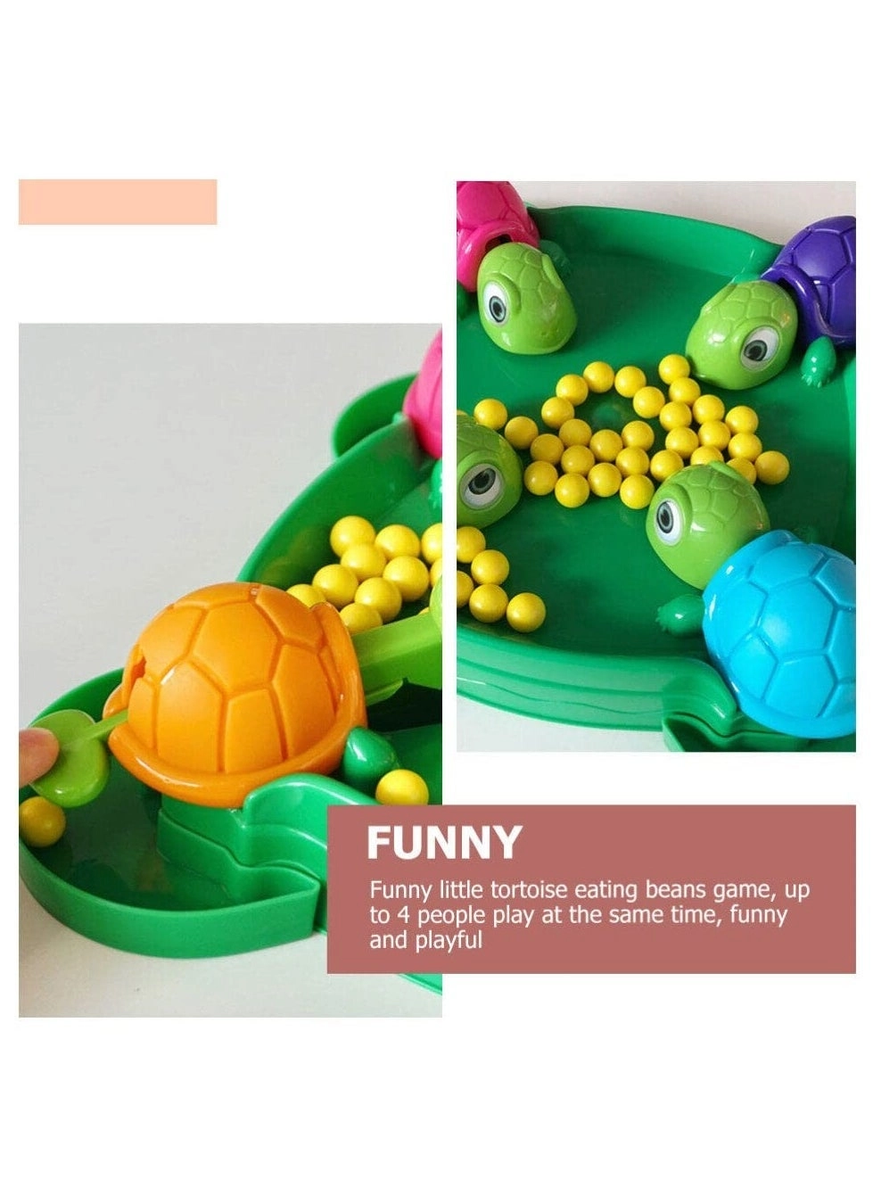 Hungry Turtle