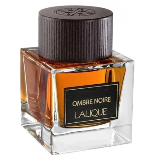 Ombre Noire Eau de Parfum 100 ml