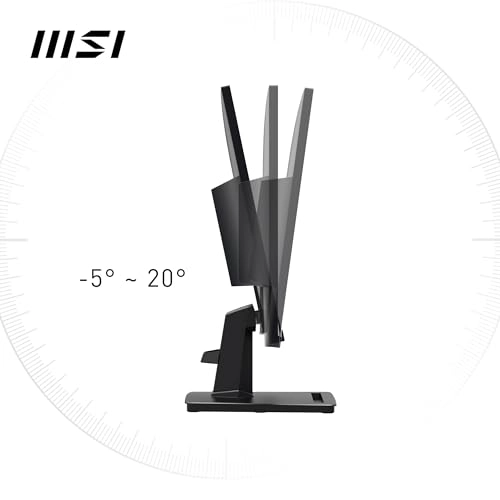 MP251 - 24.5 inch 1920 x 1080