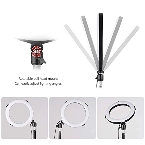 LED Ring Light - 8 Inch