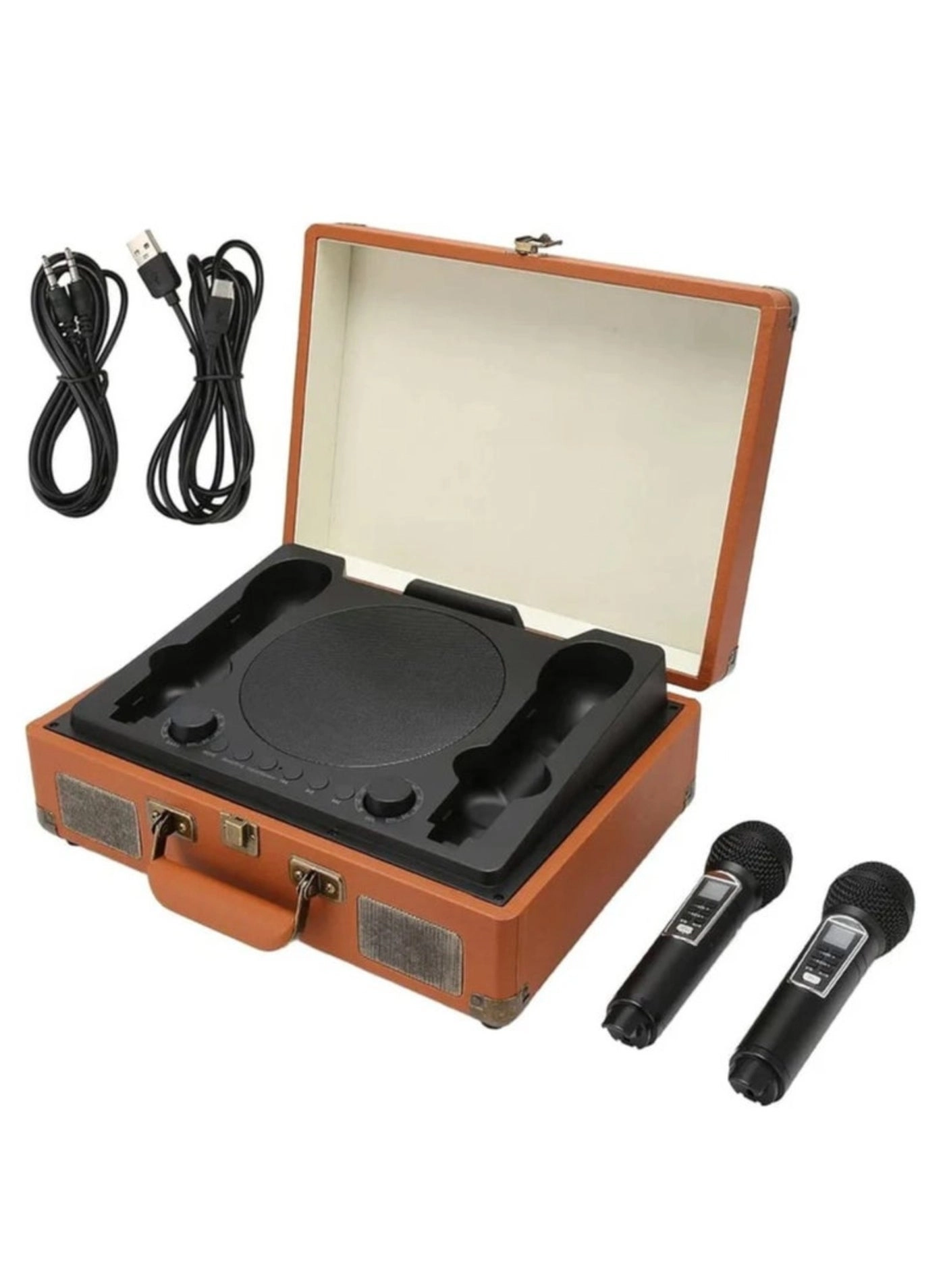 SW01 - Dual wireless microphones