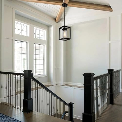 1 Light Pendant Light