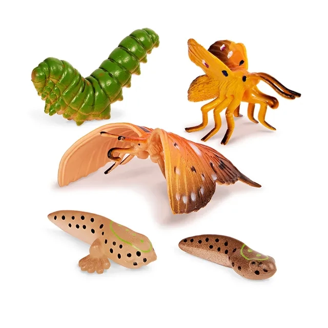 Metamorphosis Animals - (RTT-AN2891Z) 10 pcs