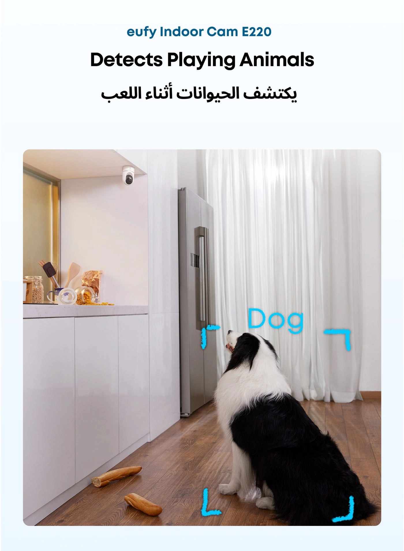 Indoor Cam 2K + SoloCam S340