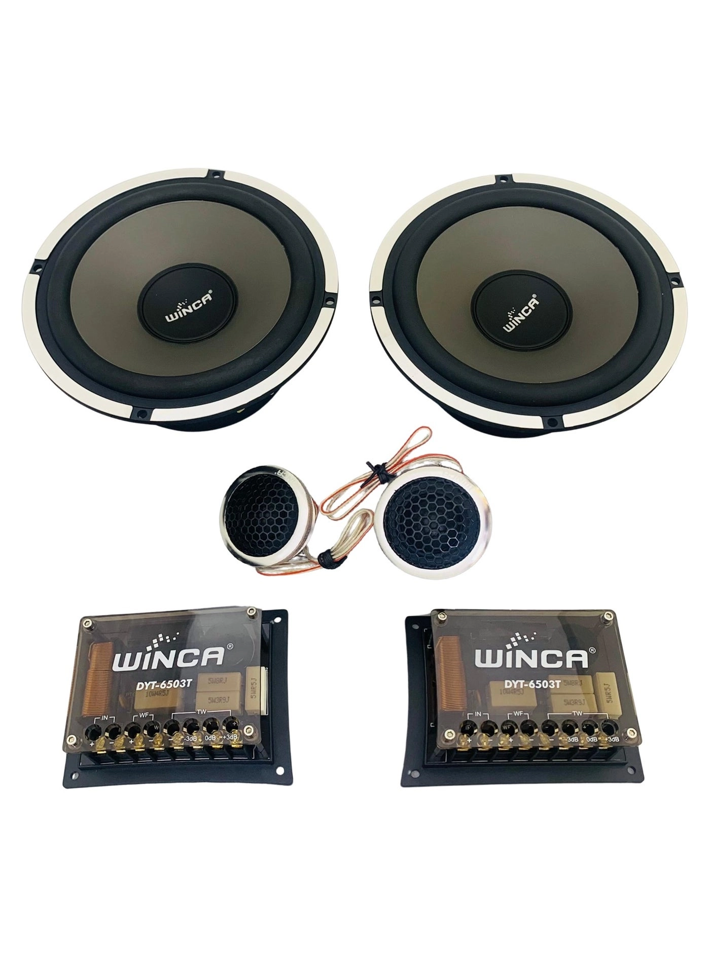 Winca DYT-6503T - 6.5” (6-1/2”) 2-Way System
