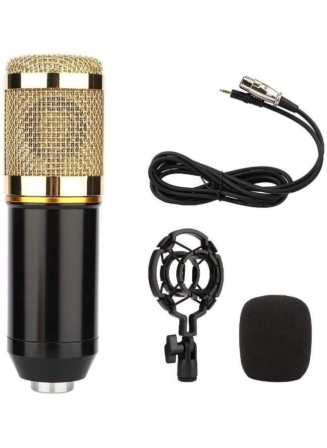 Easy Life 3574006000016 Wired Microphone