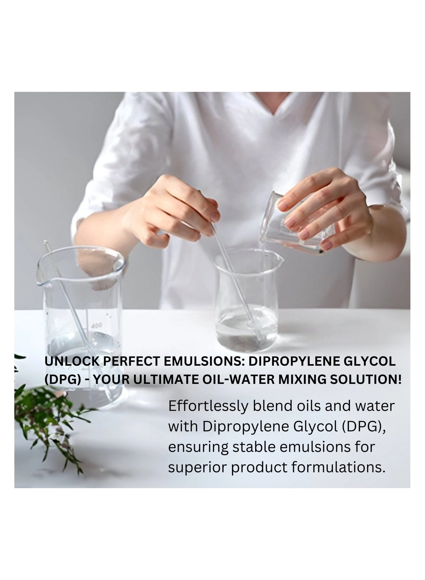 Dipropylene Glycol (DPG) Eau de Parfum - 100ml