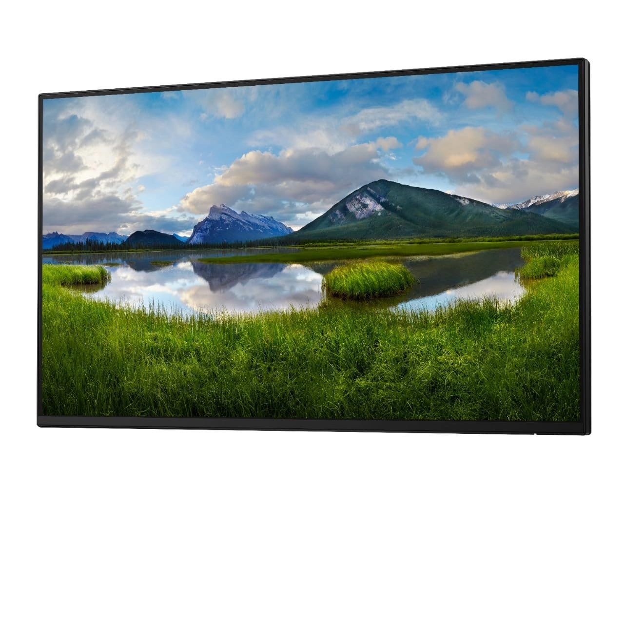P2425H - 24 inch 1080x1920 pixels