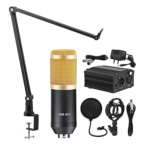 V8 Wired Microphone