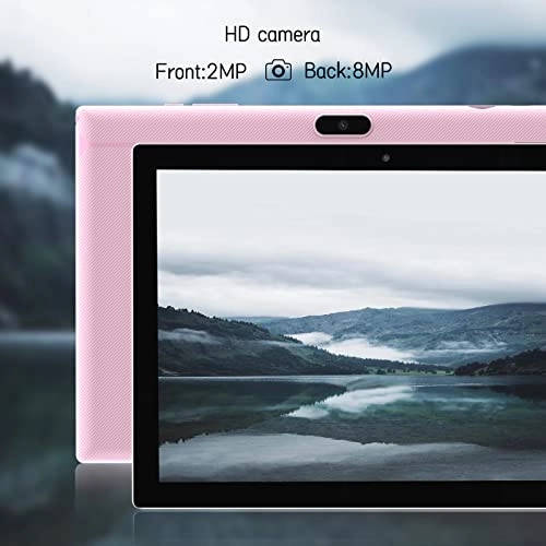 ZBCP20-6in1fen - 64GB 10.1"